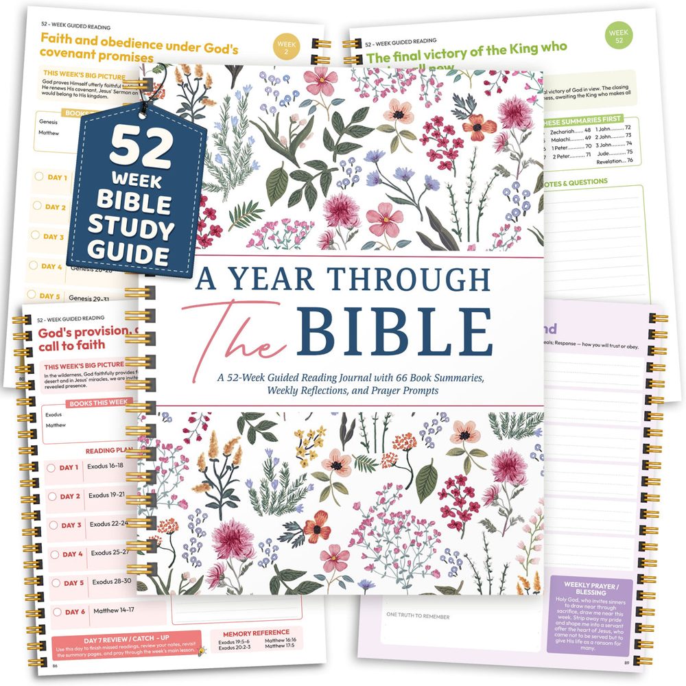 A Year Through the Bible Wildflower Version by Thomas Brierley